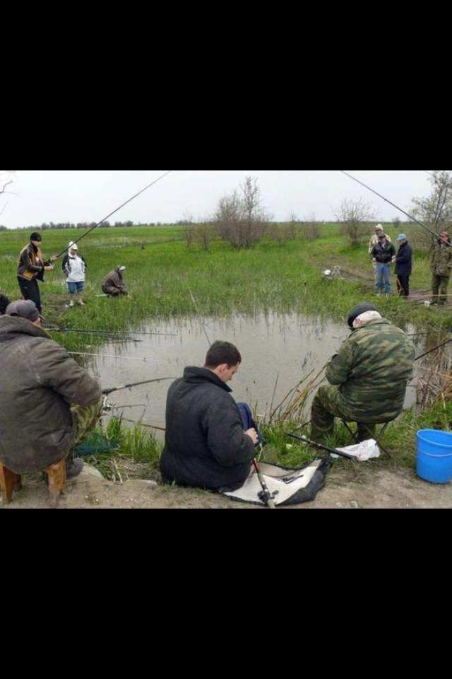 diverse - IMG_0127.PNG